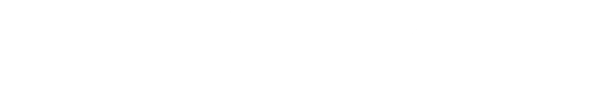 logo light
